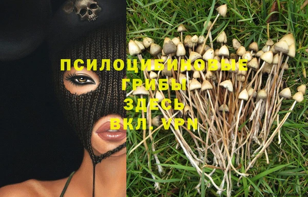 прущая мука Баксан