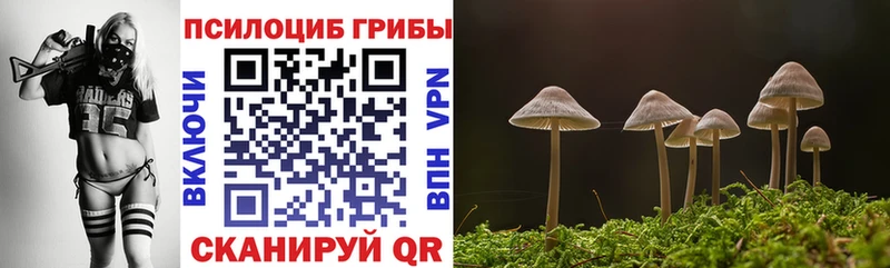 Галлюциногенные грибы прущие грибы  Корсаков 